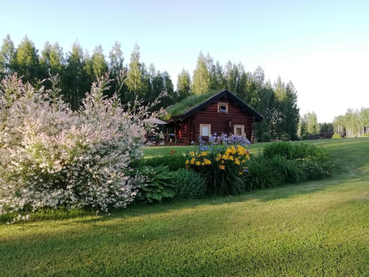 Paeikseranna Holiday Centre Βίλα Nedsaja Εξωτερικό φωτογραφία